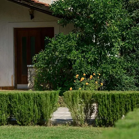 Apartments Vesna With Pool Vodice